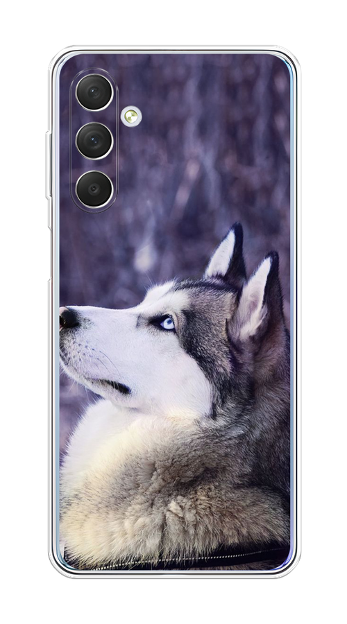 

Чехол на Samsung Galaxy M54 "Хаски 1", Фиолетовый;белый, 2108250-1