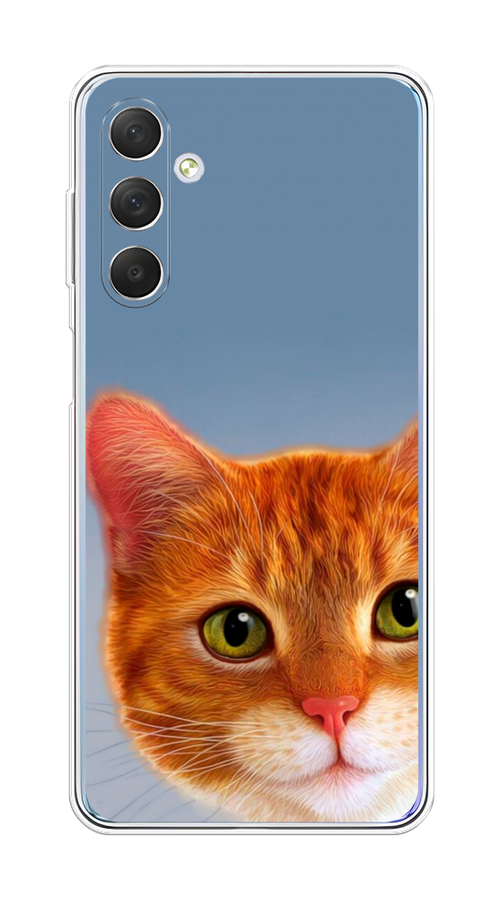 Чехол на Samsung Galaxy M54 