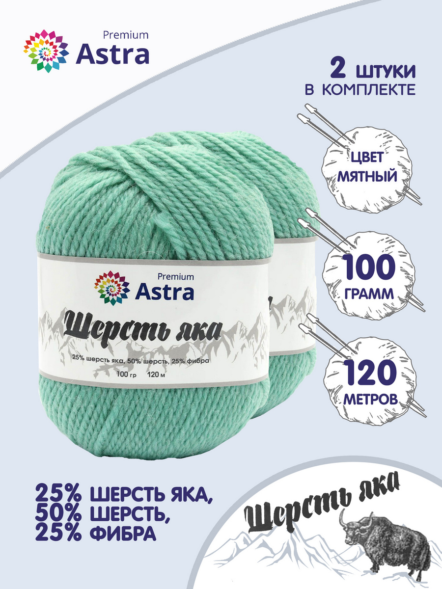 

Пряжа для вязания Astra Premium Шерсть яка 100г, 120м (02 мятный), 2 мотка, Зеленый, 7732888