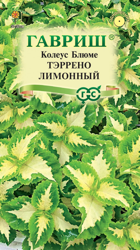 

Семена колеус Тэррено лимонный Гавриш 1071857913-10 1 уп.