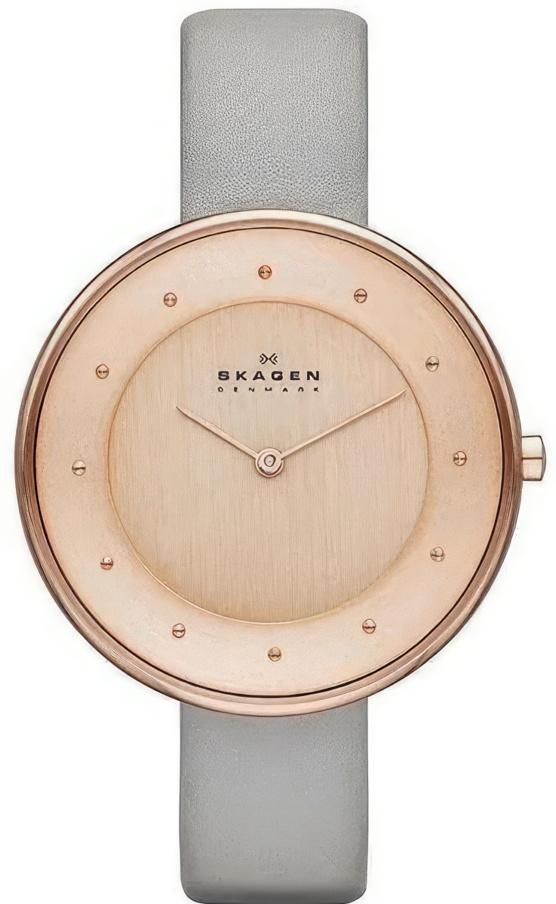 

Наручные часы женские Skagen SKW2139, SKW2139