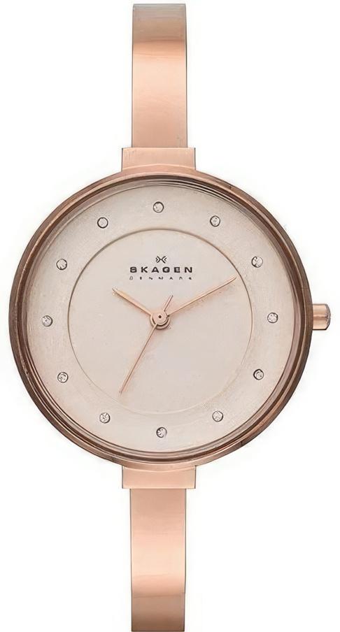 Наручные часы женские Skagen SKW2230