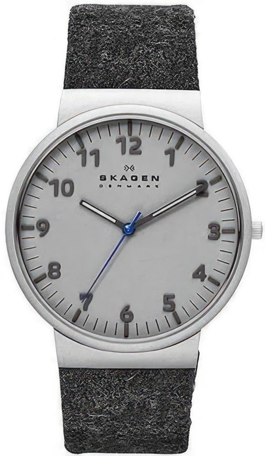 Наручные часы мужские Skagen SKW6097