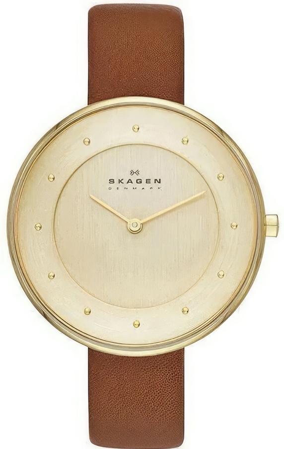 

Наручные часы женские Skagen SKW2138, SKW2138