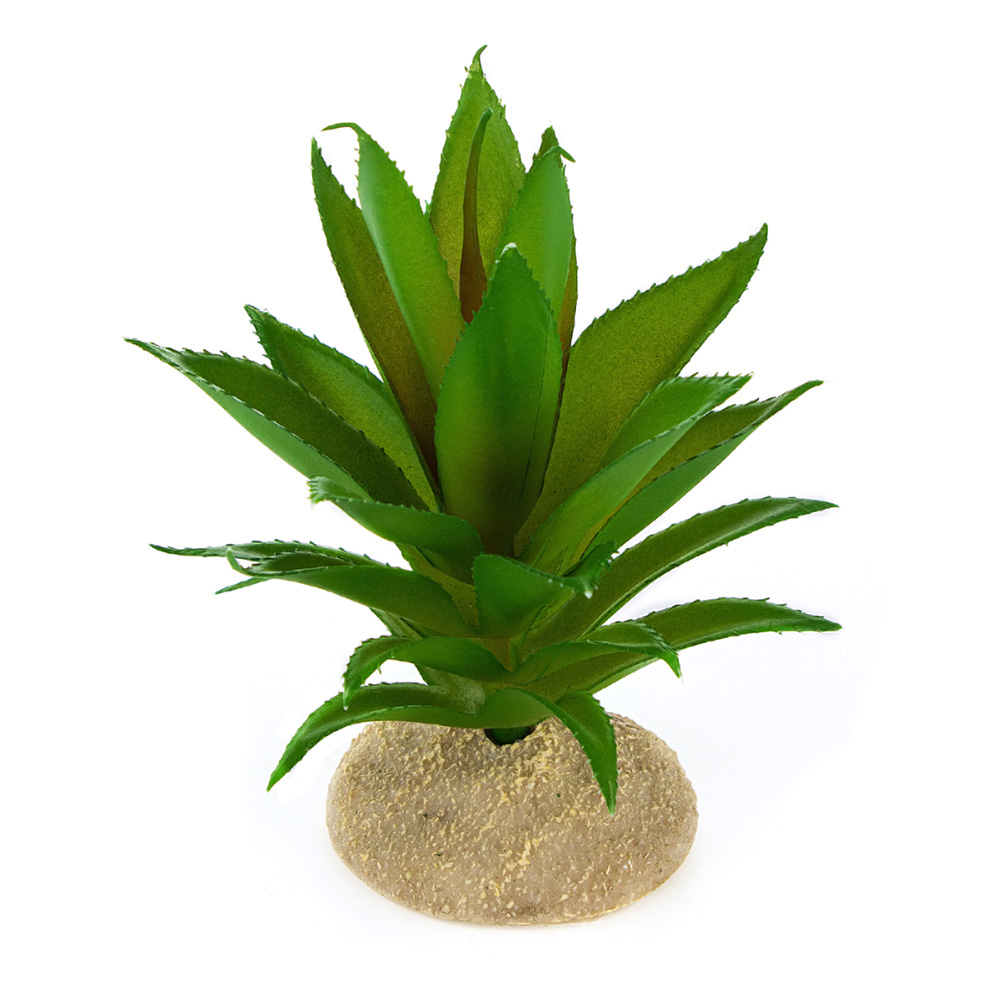 Растение для террариума TERRA DELLA Алое, зелёное, 11x11x13см