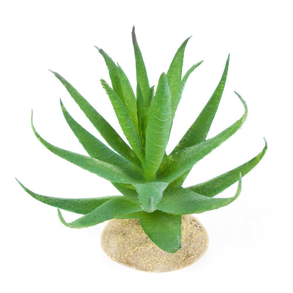 Растение для террариума TERRA DELLA Алое, светло-зелёное, 15x15x12см