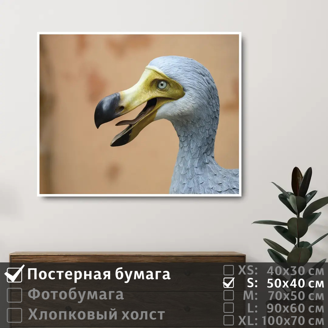 

Постер на стену ПолиЦентр Мифическая птица до до 50х40 см, МифическаяПтицаДоДо