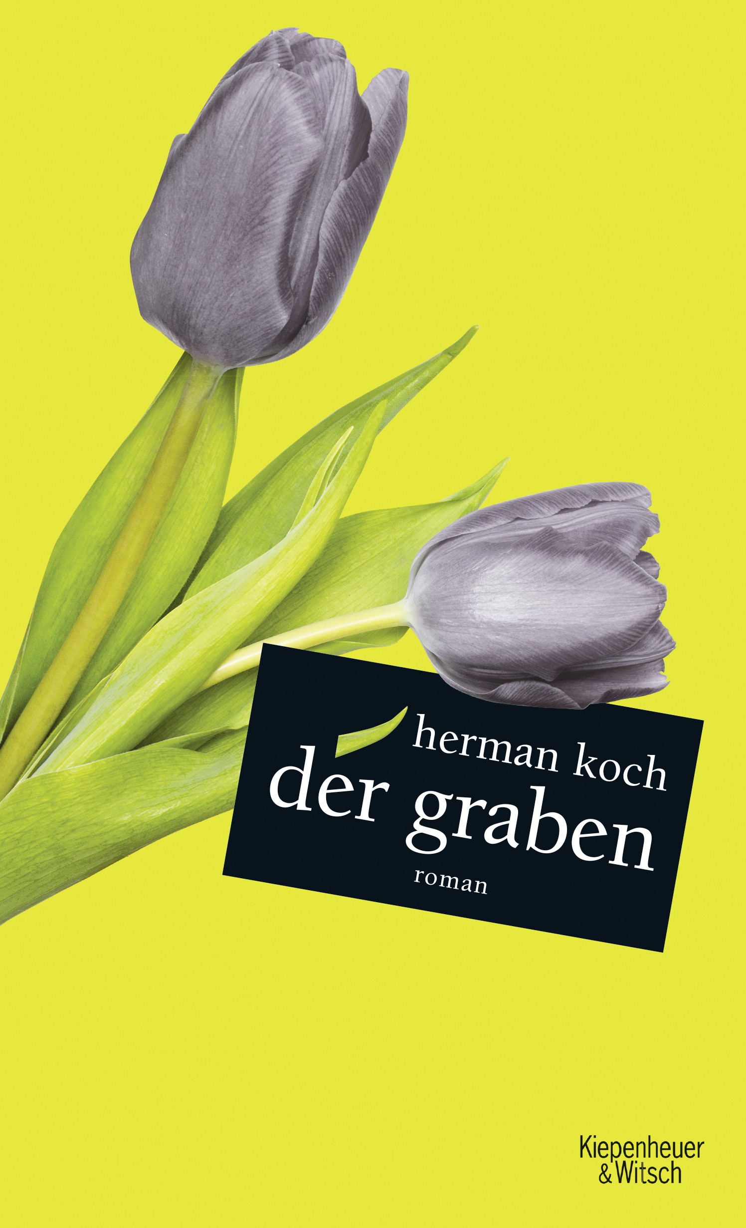 

Der Graben