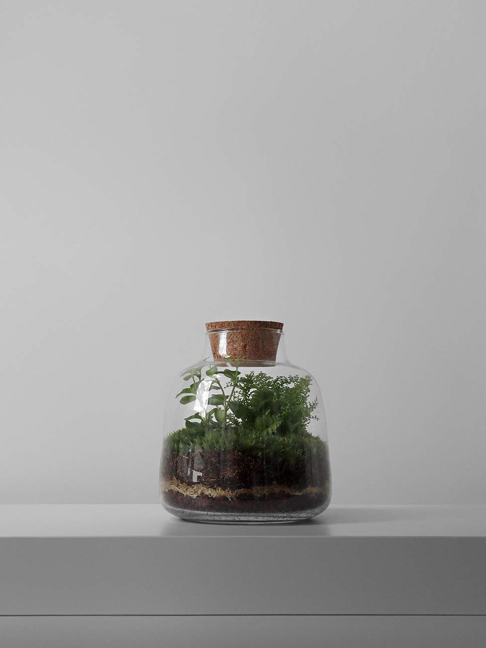 

Флорариум / Экосистема HEIS / Vase S, Зеленый