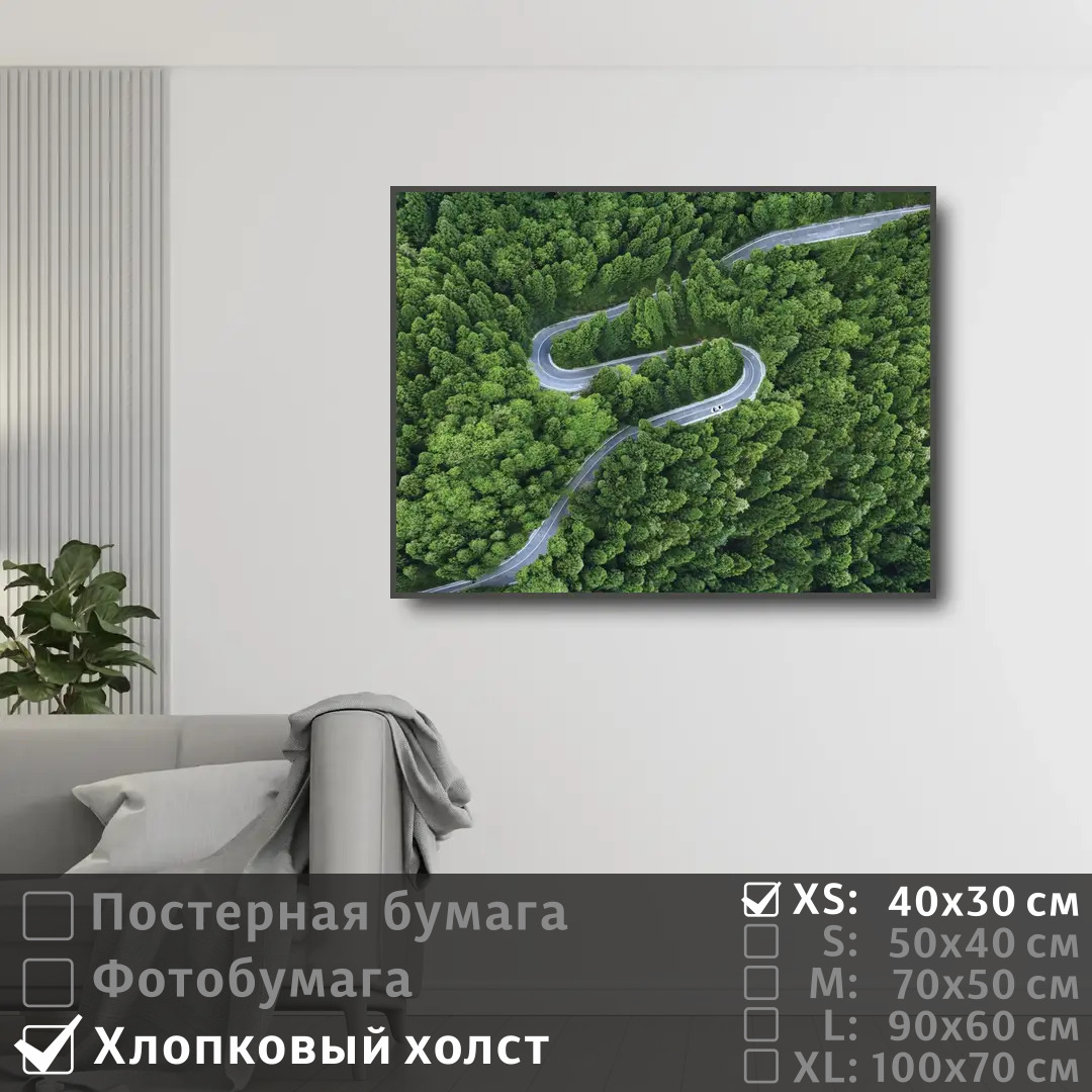 

Постер на холсте ПолиЦентр Лес в зеленых тонах 40х30 см, ЛесВЗеленыхТонах