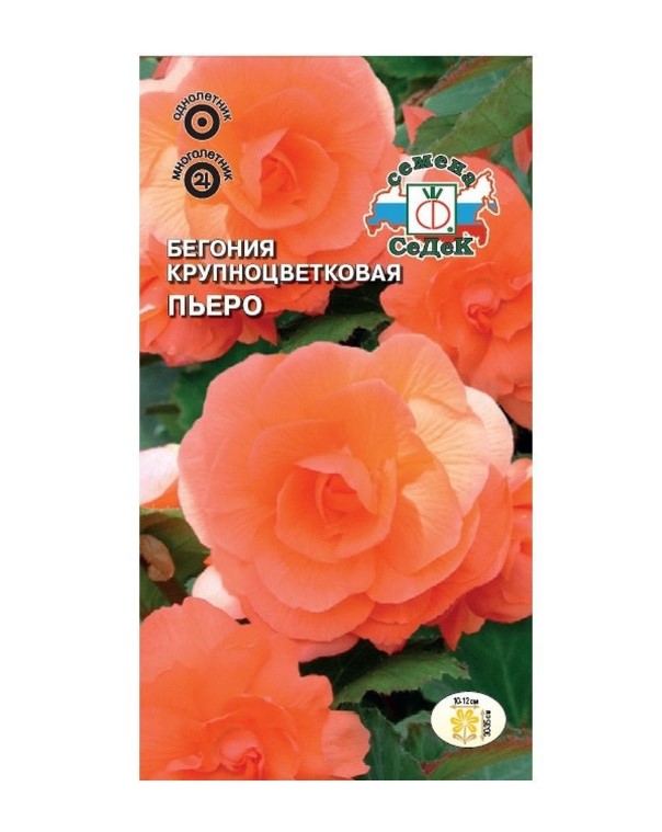 

Семена бегония СеДеК Пьеро 1715 1 уп.