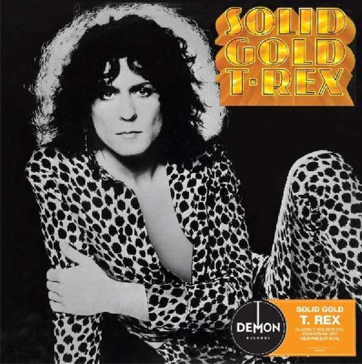 

T. Rex Solid Gold (Винил)