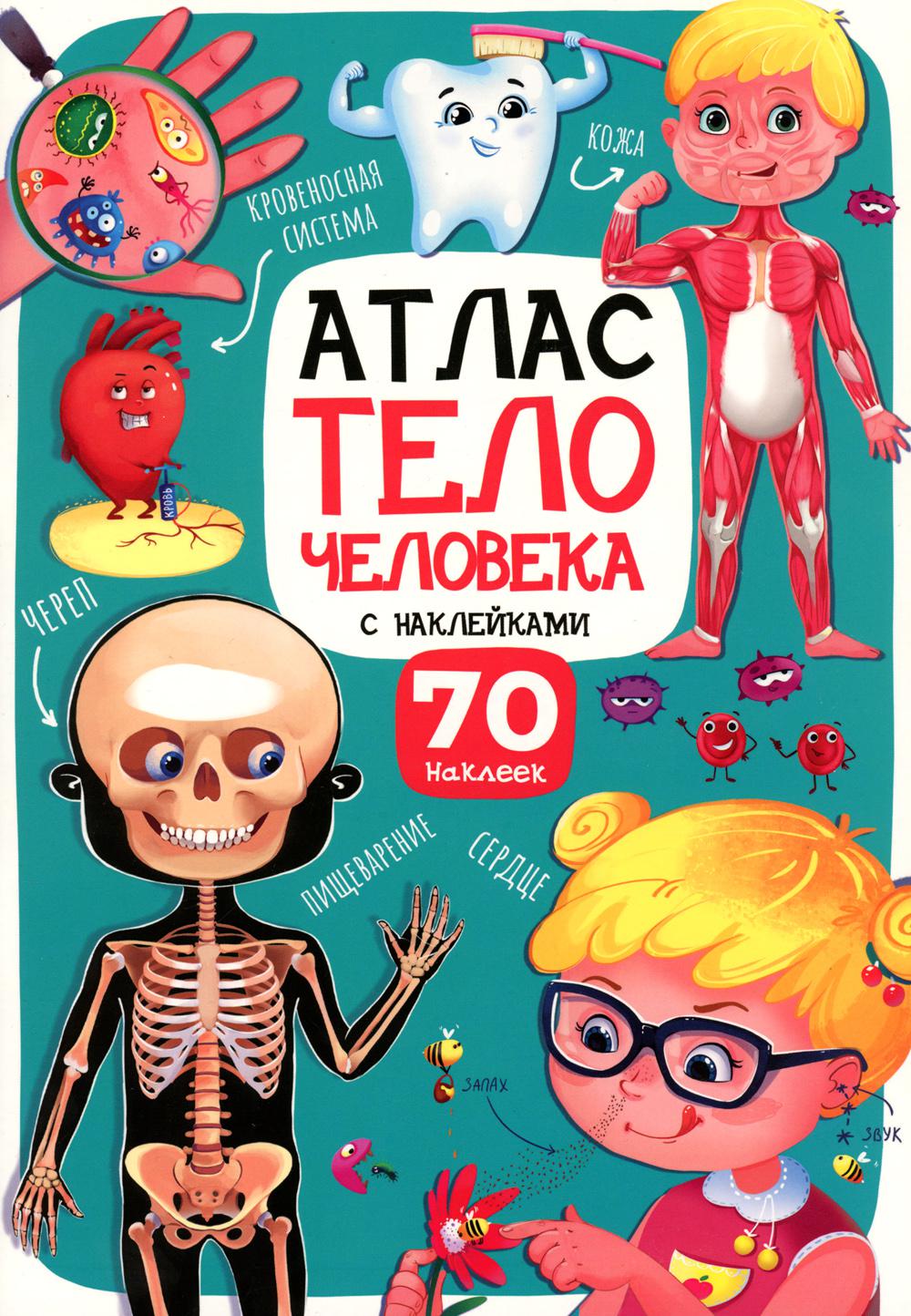 

Атлас. Тело человека
