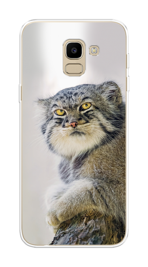 

Чехол на Samsung Galaxy J6 2018 "Кот манул 1", 26150-1