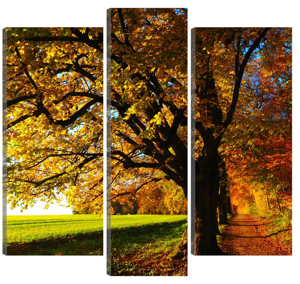 

Большая модульная картина Осенние деревья. В спальню, гостиную, зал. PR-934 (146x120см)