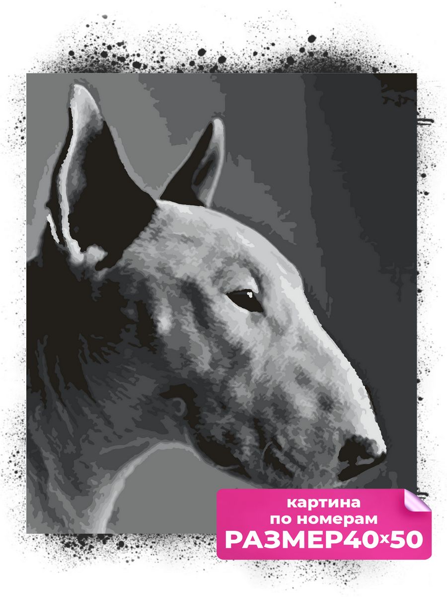 

Картина по номерам Бультерьер. Собака. Портрет 40х50, HC27