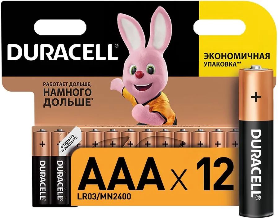 

AAA Батарейка DURACELL Basic LR03-12BL MN2400, 12 шт.