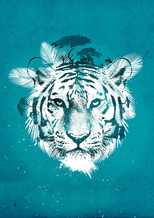 

Большой постер на стену White Tiger 60х90 см без рамы, RFWHITET