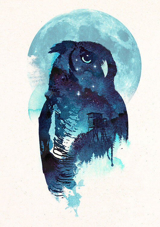

Большой постер на стену Midnight Owl 40х50 см без рамы, RFOWL