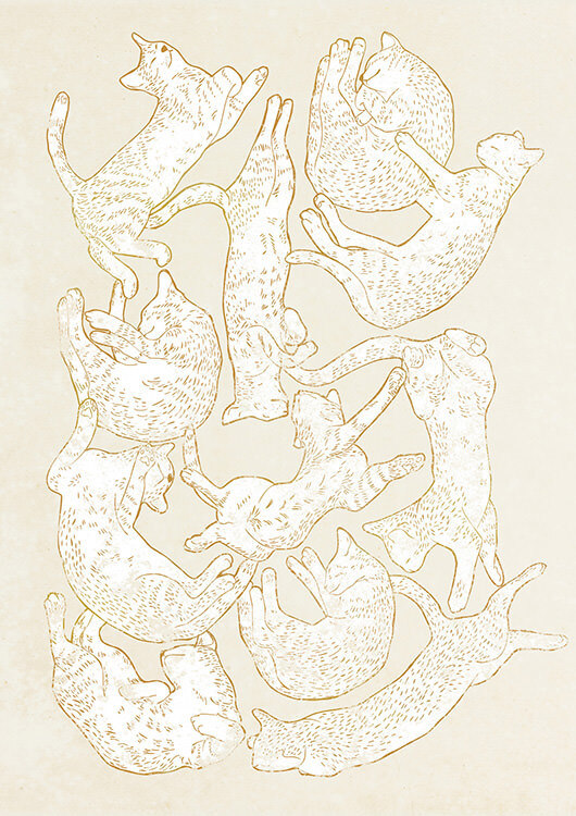 

Большой постер на стену 11 Sleeping Cat 60х90 см без рамы, RFSC