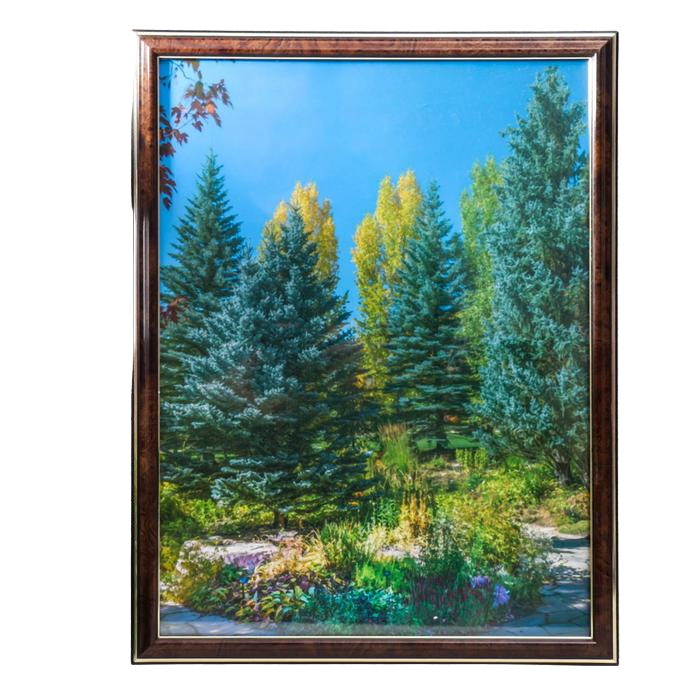 

Фоторамка 30х40 (282Р) темный орех с золотом (пластиковый экран), Коричневый, Photo of happiness