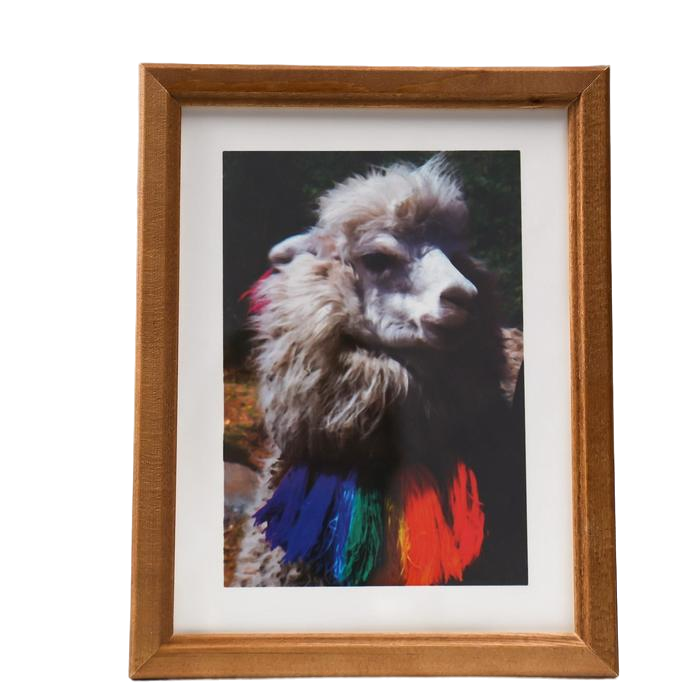 

Фоторамка 15х20 см (7N68) орех (пластиковый экран), Коричневый, Photo of happiness