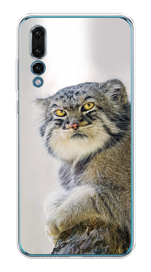 

Чехол на Huawei P20 Pro "Кот манул 1", Серый;белый;желтый, 65050-1
