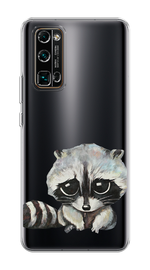 

Чехол на Honor 30 Pro Plus "Большеглазый енот", Серый;черный;прозрачный, 612250-1