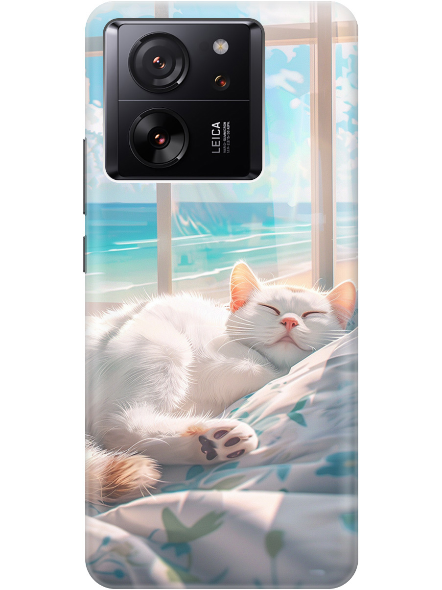

Силиконовый чехол на Xiaomi 13T / 13T Pro с принтом "Отдыхающий котик", Прозрачный;белый;голубой, 776584812