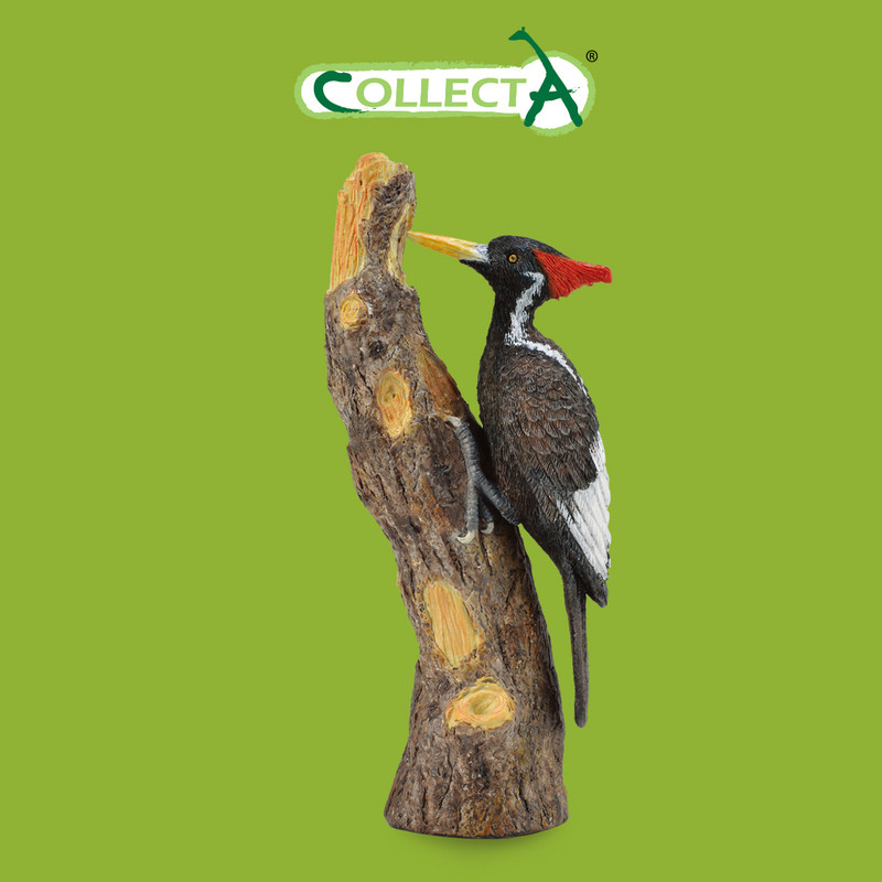 

Фигурка животного Collecta Белоклювый дятел L, Белоклювый дятел