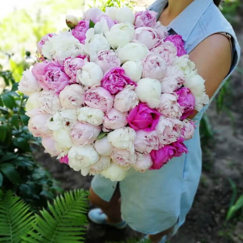 

Монобукеты Venus in Fleurs Красивый букет пионов 808082, Красивый букет пионов