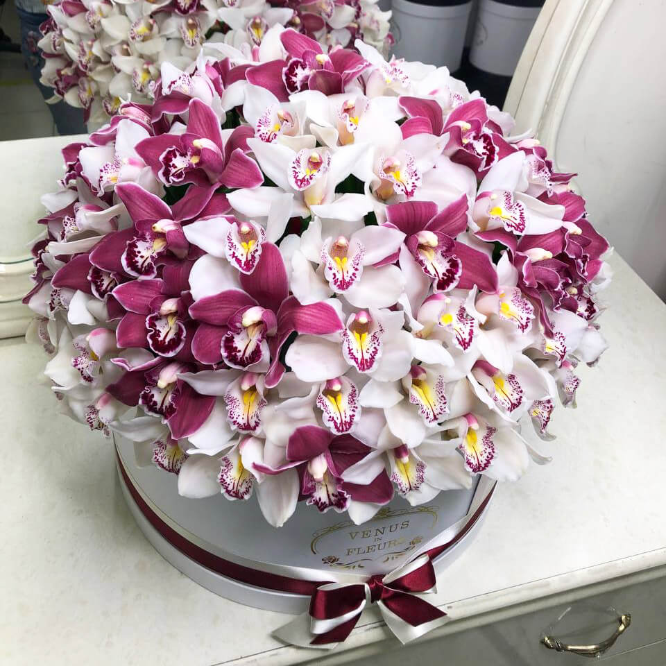 

Цветы в коробке Venus in Fleurs Бело-розовый микс из 101 орхидеи в коробке 810291, Бело-розовый микс из 101 орхидеи в коробке