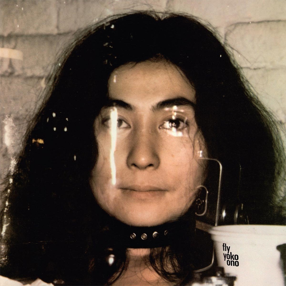 Ono Yoko Flyl (2LP)