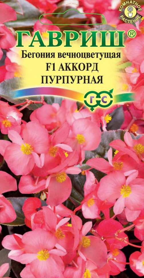 

Семена бегония Аккорд Пурпурная F1 Гавриш 1071857185-10 1 уп.