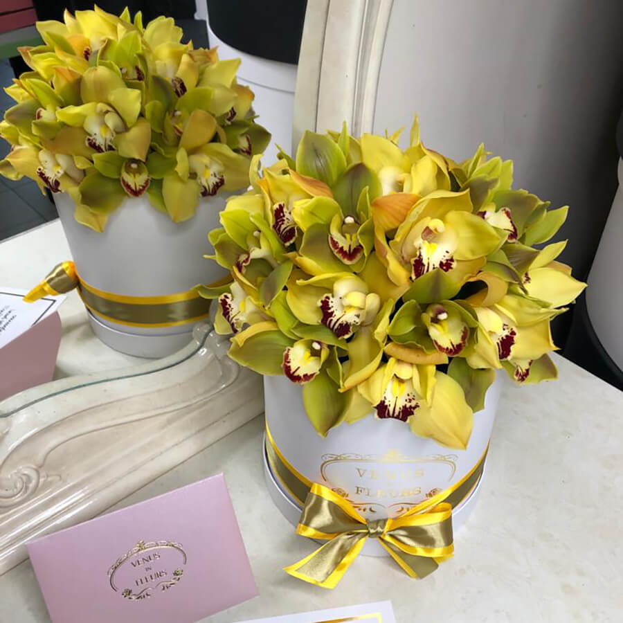 

Цветы в коробке Venus in Fleurs Летний микс из 29 орхидей в коробке 811868, Летний микс из 29 орхидей в коробке