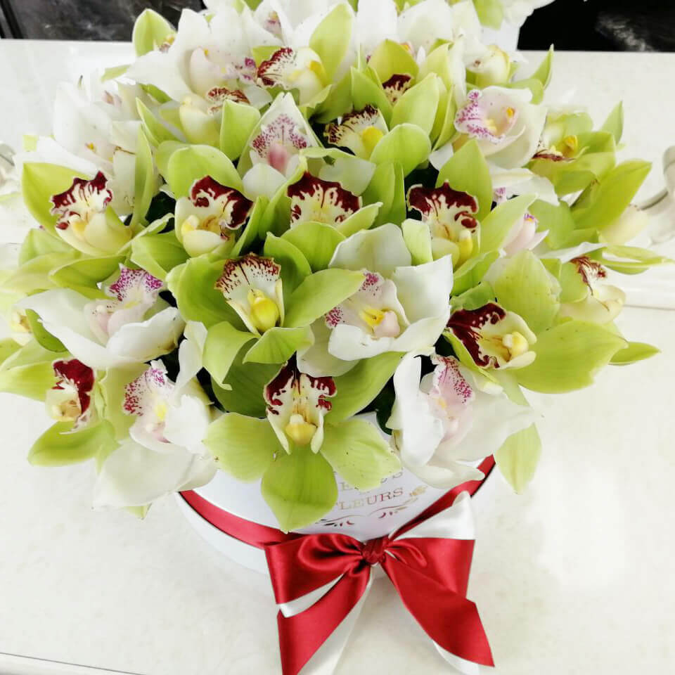 

Цветы в коробке Venus in Fleurs Бело-зеленый букет орхидей 808276, Бело-зеленый букет орхидей