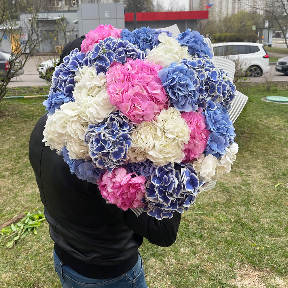 

Монобукеты Venus in Fleurs 15 гортензий в букете 809827, 15 гортензий в букете