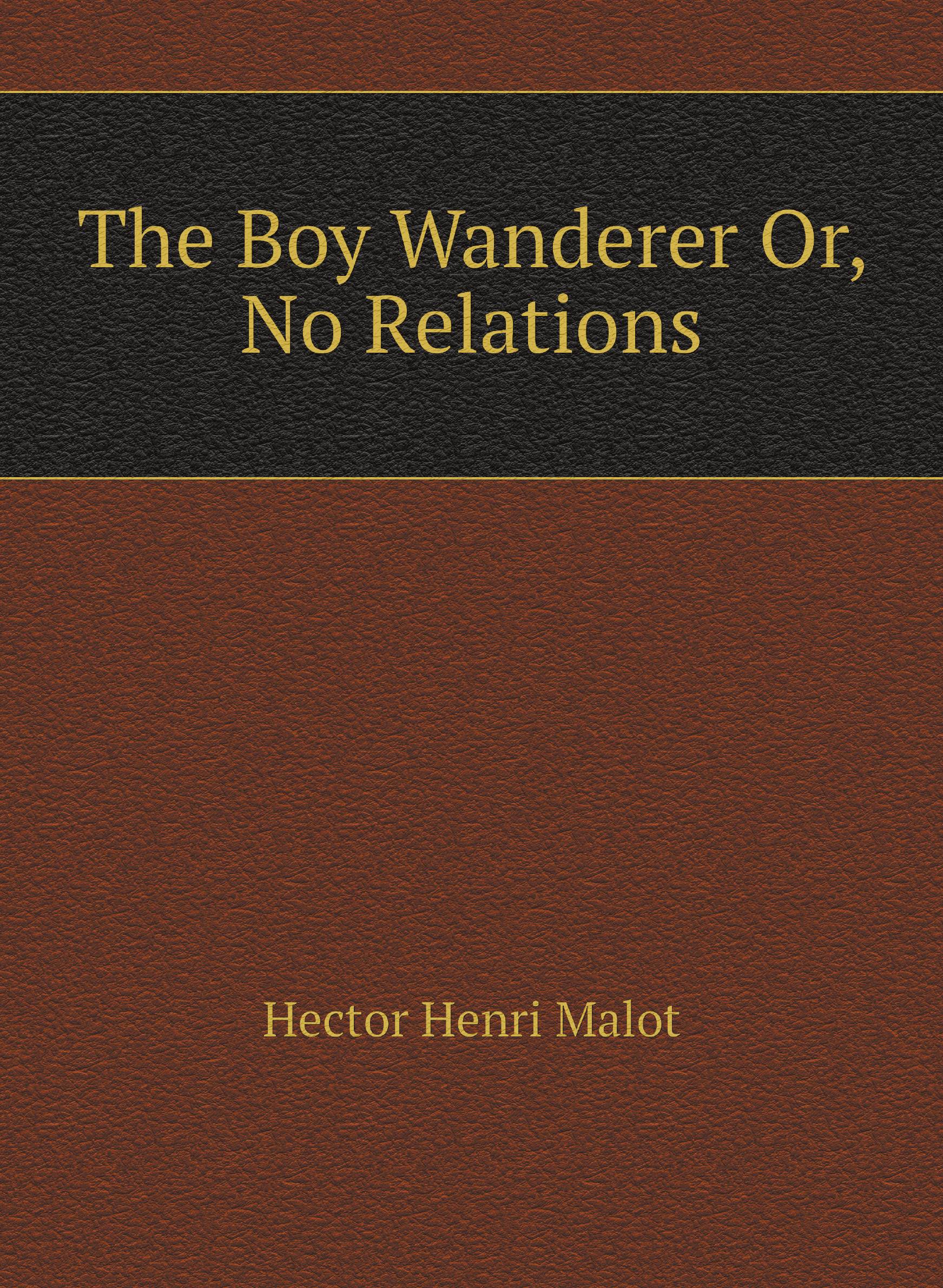 

The Boy Wanderer Or, No Relations