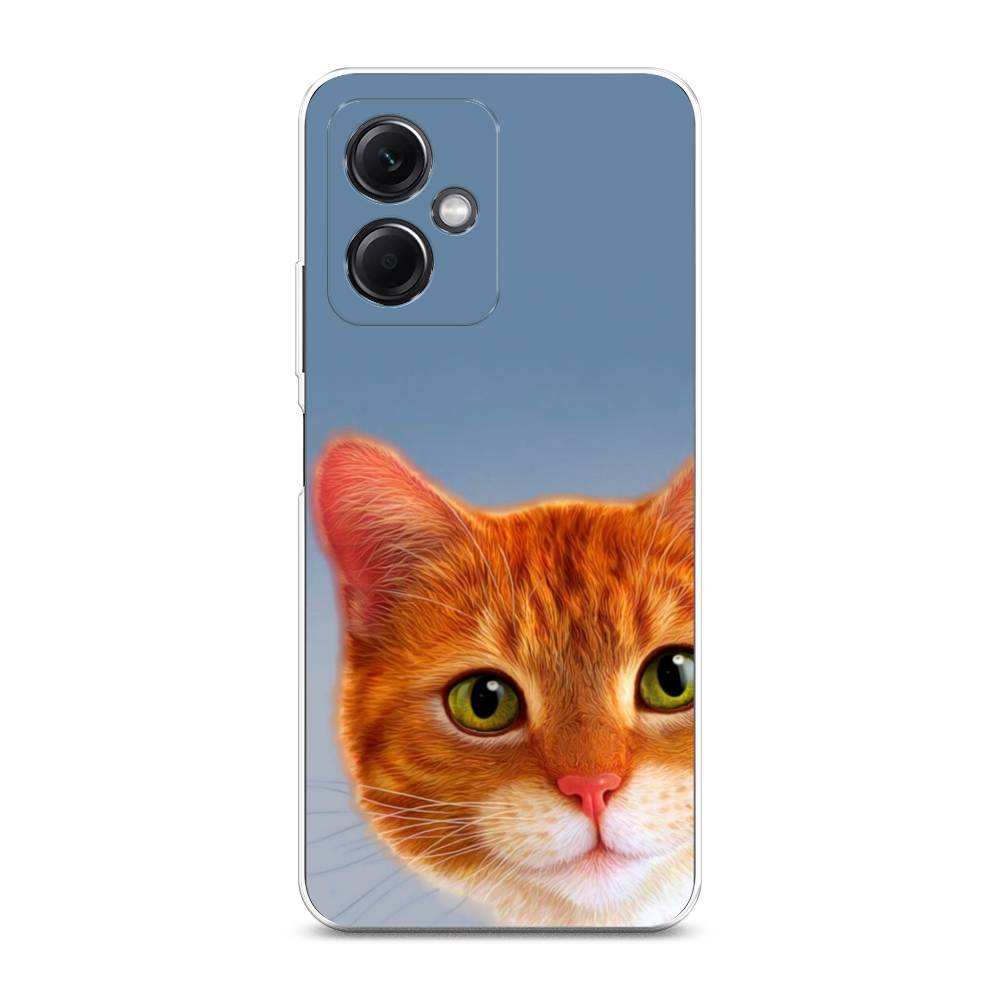 

Чехол на Xiaomi Redmi Note 12 5G "Любопытный котик", Коричневый, 316950-1