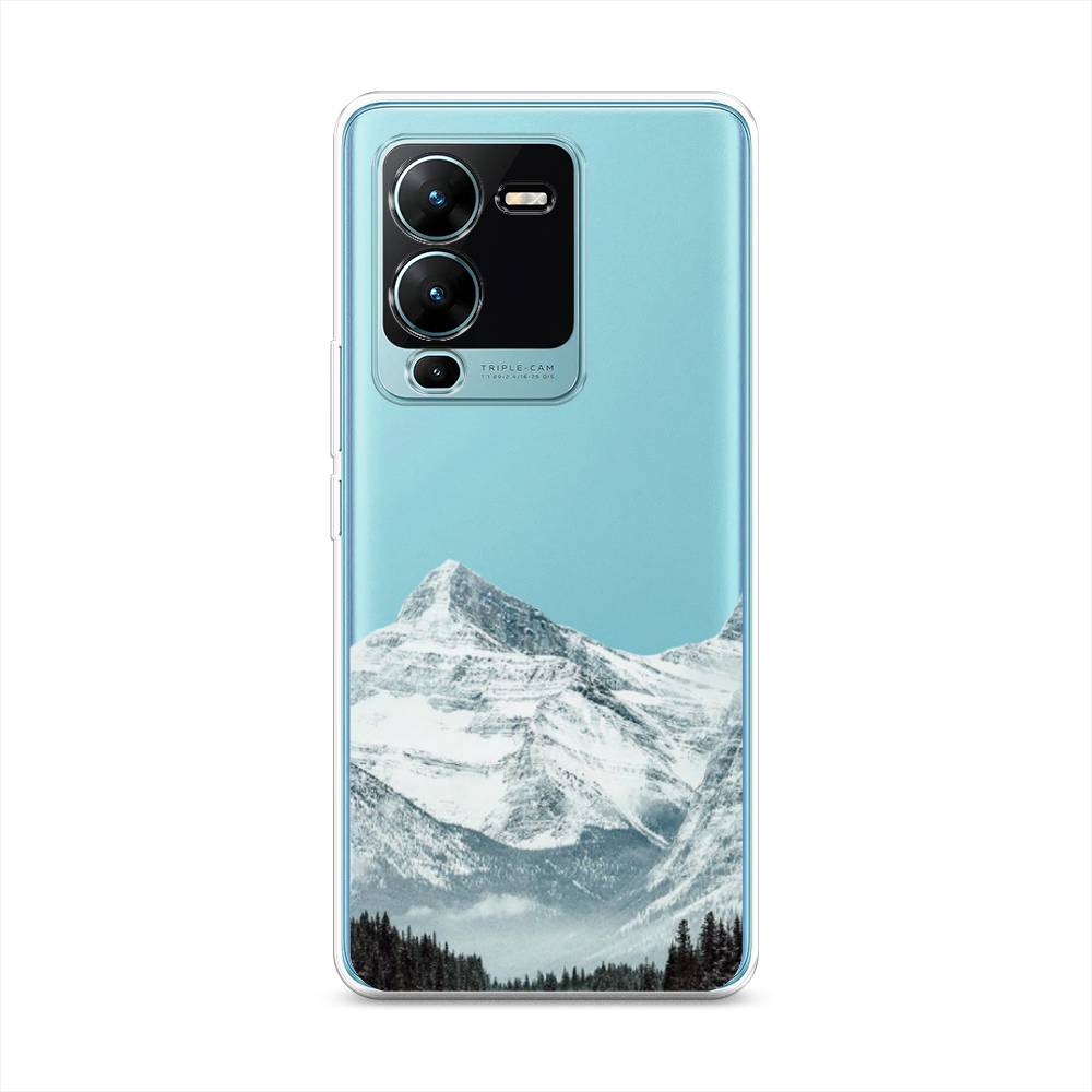 

Чехол на Vivo V25 Pro 5G "Горы арт 1", Белый;зеленый, 267450-2