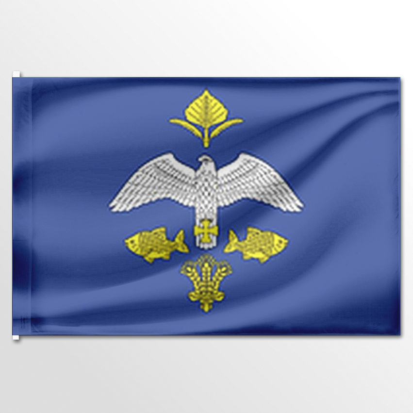 

Флаг ЦТП ФЕНИКС Рыбинского сельского поселения 135x90 см, 7593-135x90
