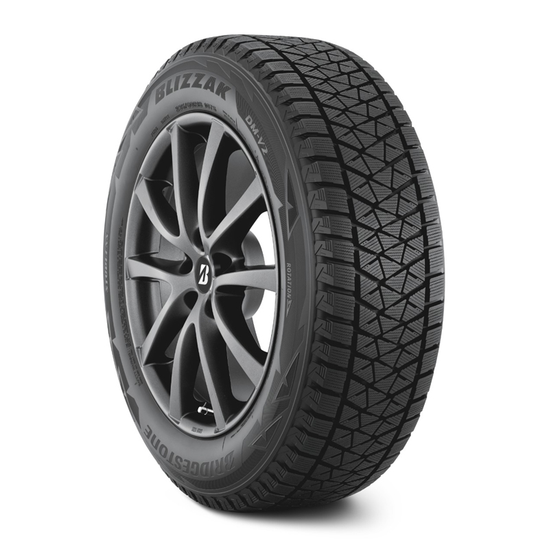 

Шины Bridgestone Blizzak DM-V2 255/55R20 110T нешипованная
