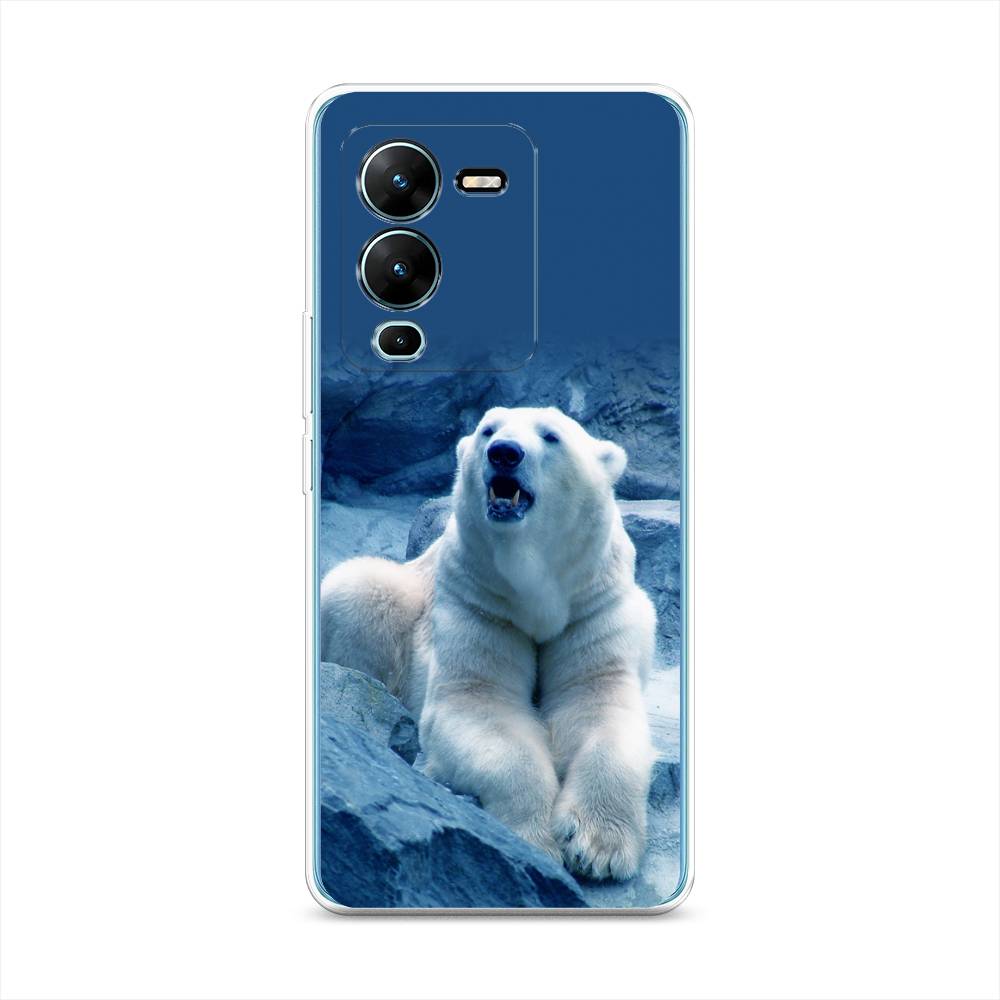 

Чехол на Vivo V25 Pro 5G "Белый медведь", Голубой;белый, 267450-1