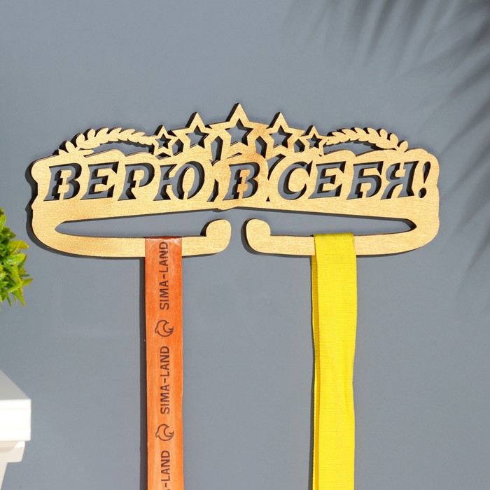 

Медальница Верю в себя!, 28х12 см, Коричневый, Медальница