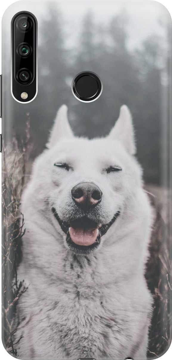 

Чехол на Honor 9C/Huawei P40 Lite E "Довольный пес", Серый;черный, 6412