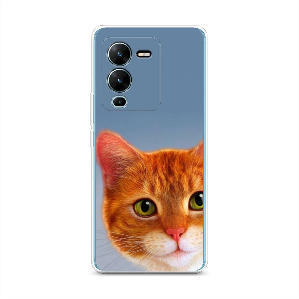 

Чехол на Vivo V25 Pro 5G "Любопытный котик", Коричневый, 267450-1