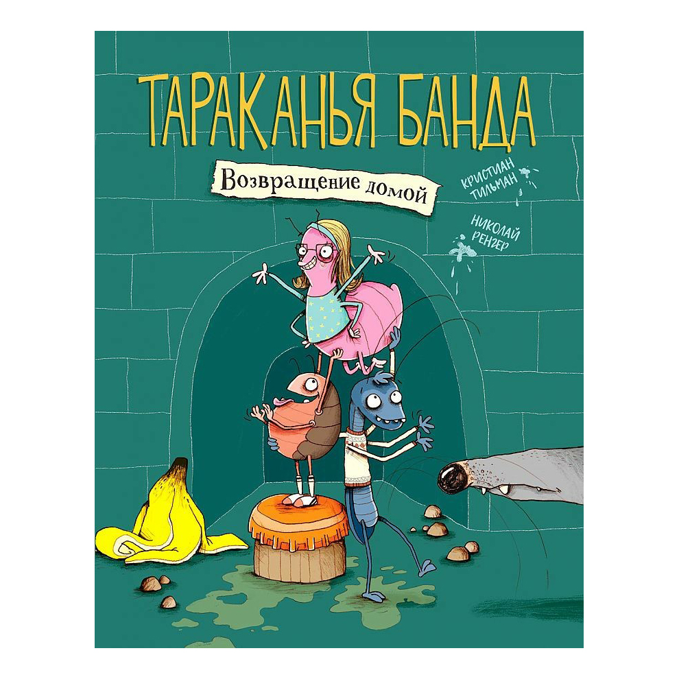 

Книга Возвращение домой