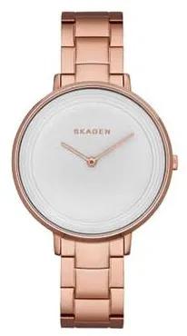

Наручные часы женские Skagen SKW2331, SKW2331