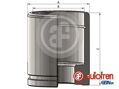 

Поршень Тормозного Суппорта | Зад | D60 Hcv Seinsa Autofren арт. D025376