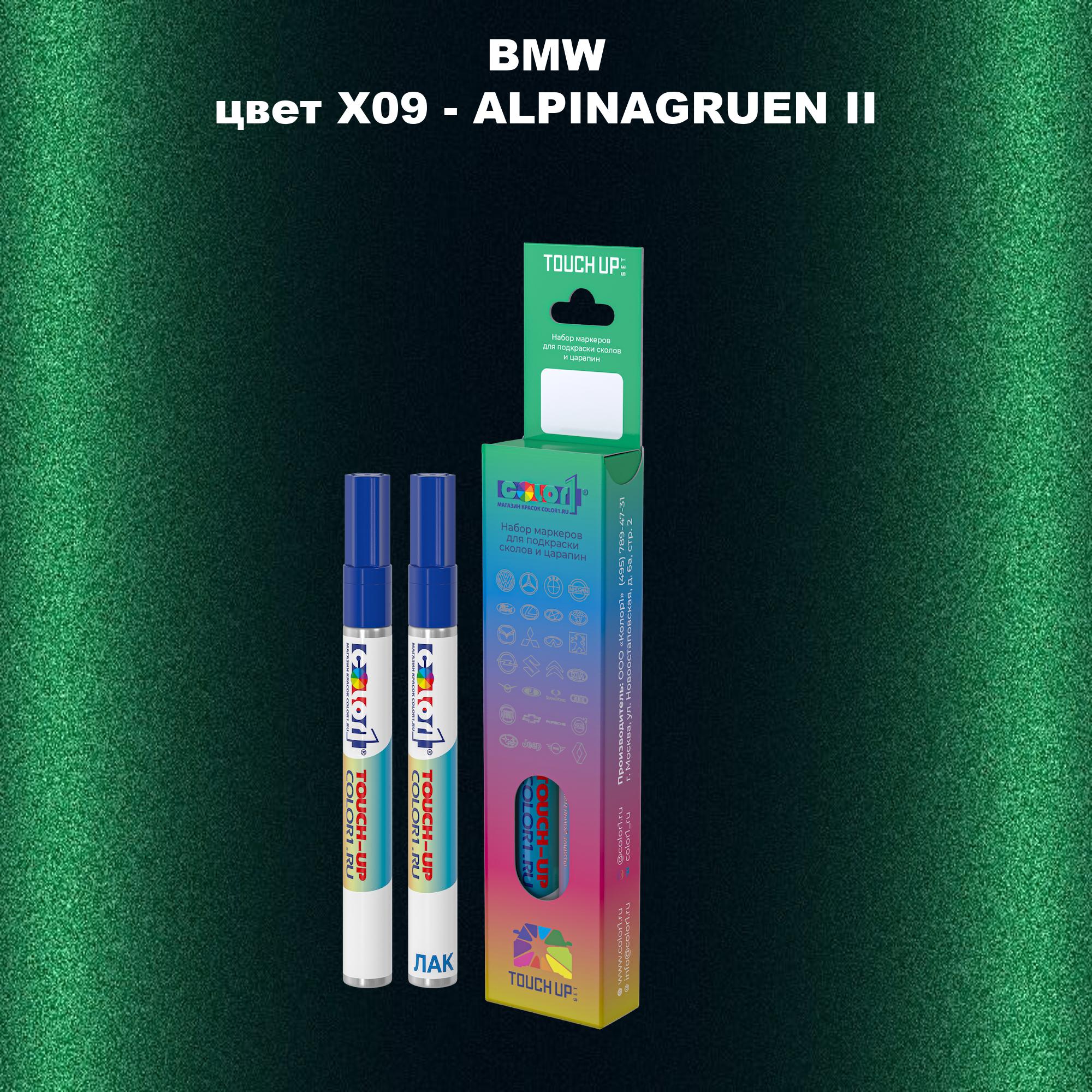 

Маркер с краской COLOR1 для BMW, цвет X09 - ALPINAGRUEN II, Прозрачный